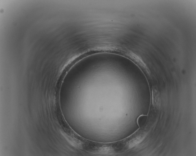 X0000062890204200601171522