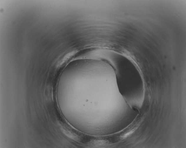 X0000062890205200601171522