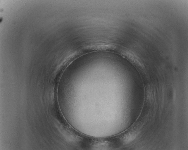 X0000062890206200601171522