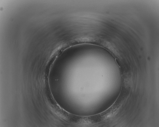 X0000062890207200601171522