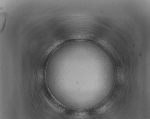 X0000062890208200601171522