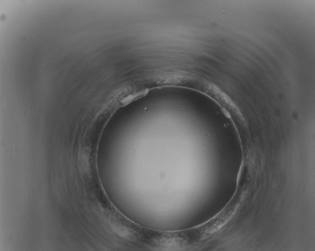 X0000062890209200601171522