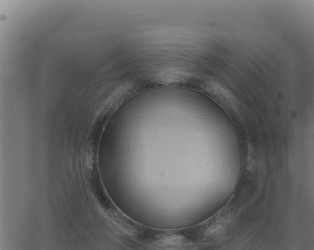 X0000062890210200601171522