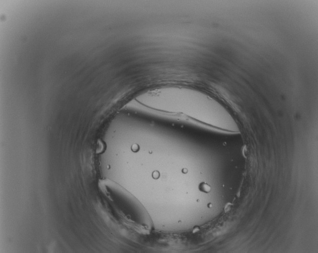 X0000062890211200601171522