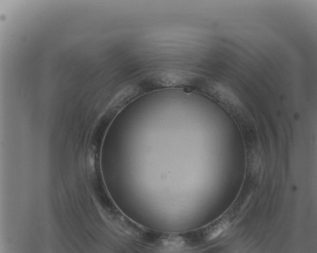 X0000062890214200601171522