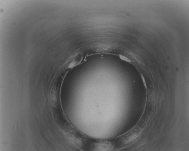 X0000062890215200601171522