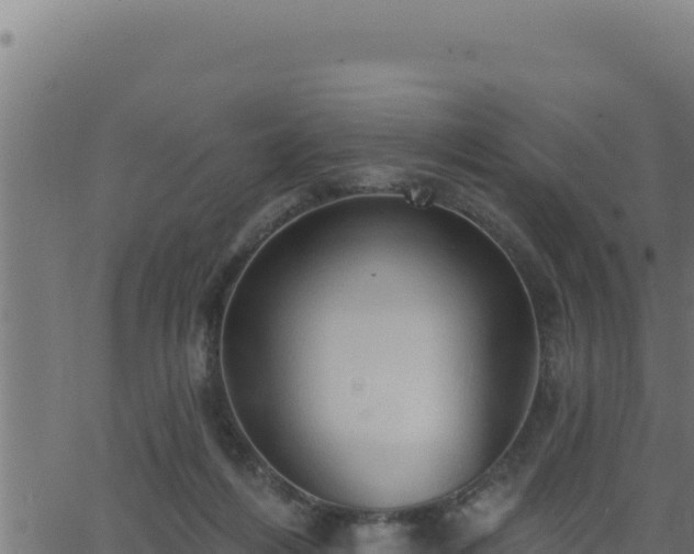 X0000062890216200601171522