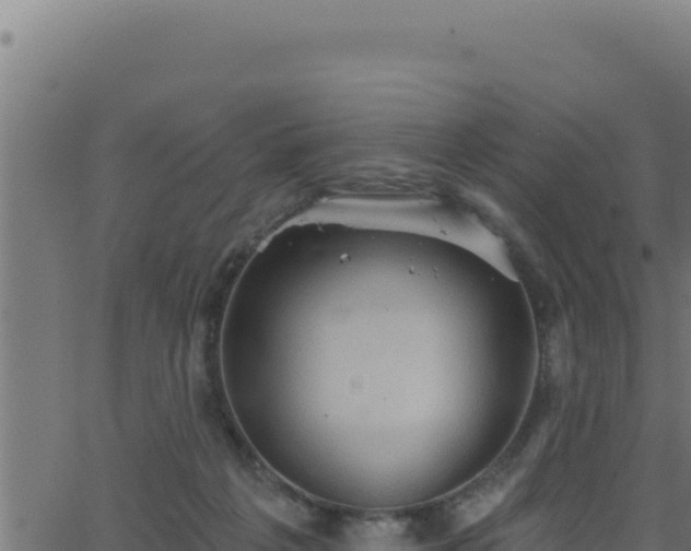 X0000062890217200601171522