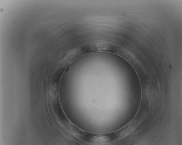 X0000062890218200601171522