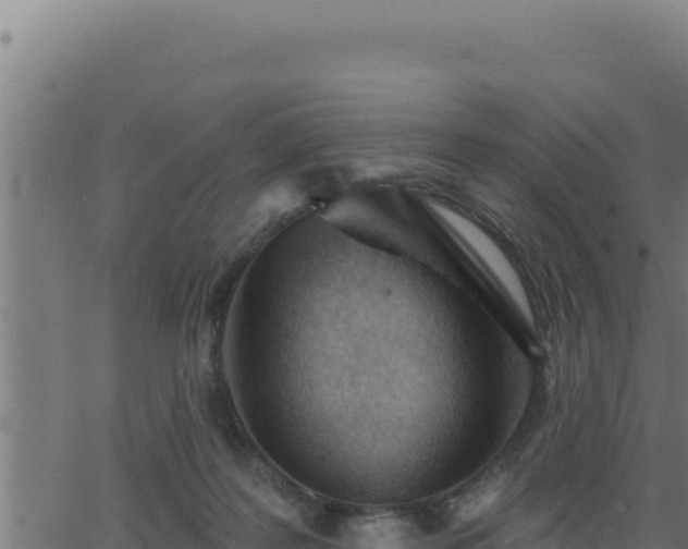 X0000062890219200601171522