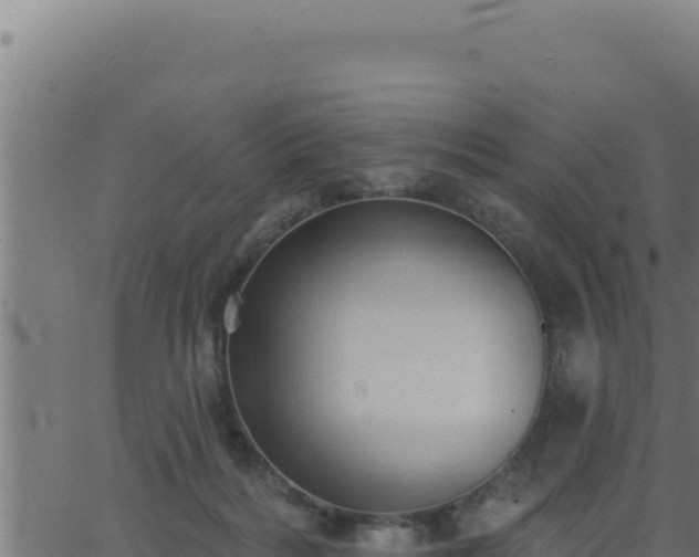 X0000062890220200601171522