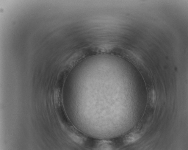 X0000062890222200601171522