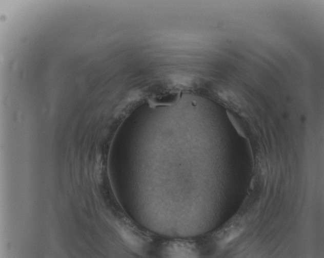 X0000062890223200601171522