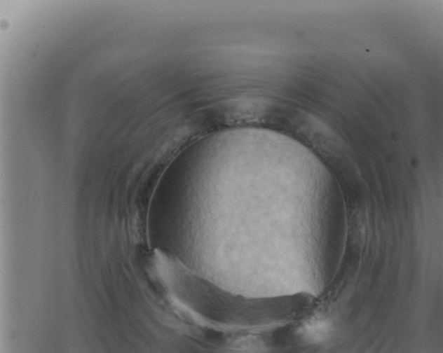 X0000062890224200601171522