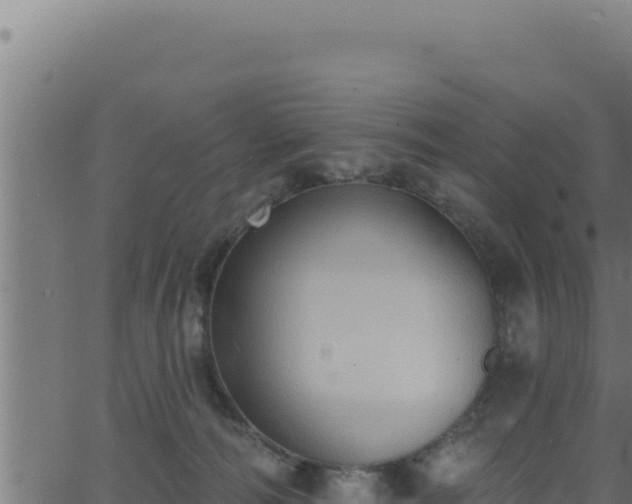 X0000062890226200601171522