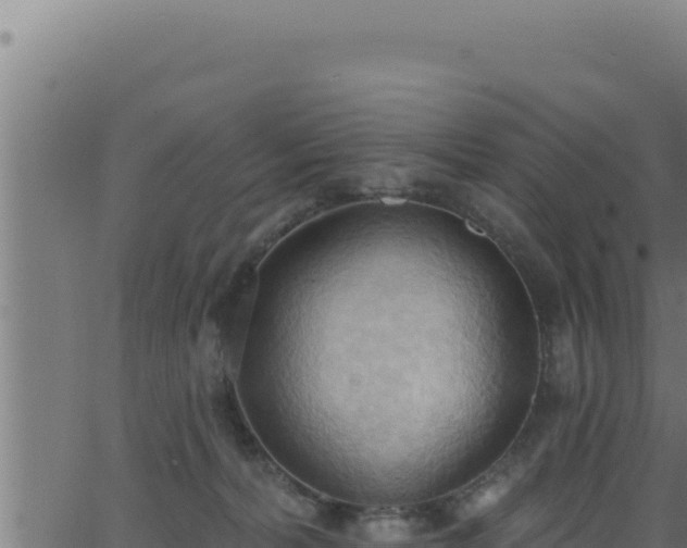 X0000062890228200601171522