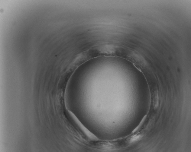 X0000062890229200601171522