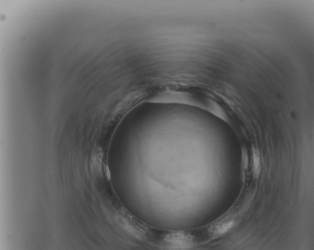 X0000062890231200601171522