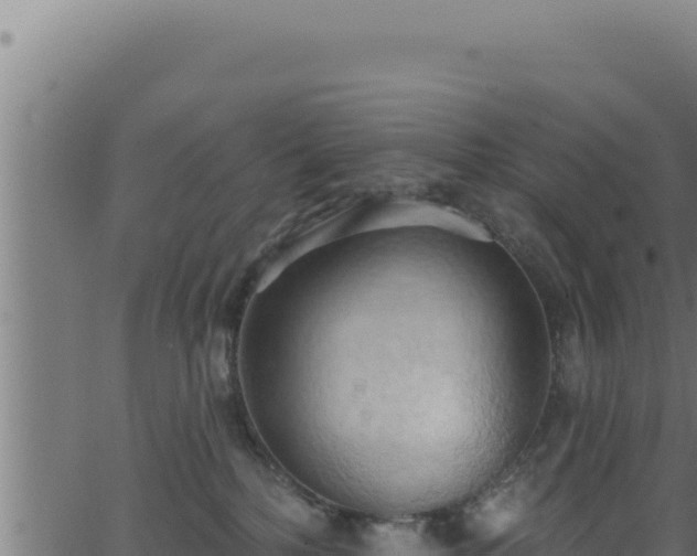 X0000062890232200601171522