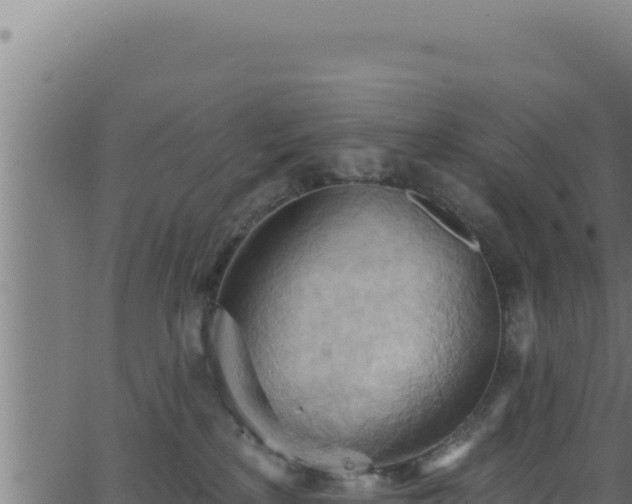 X0000062890233200601171522