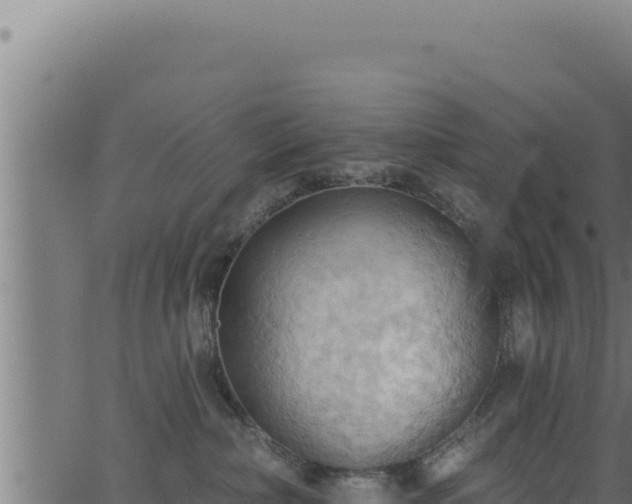 X0000062890236200601171521