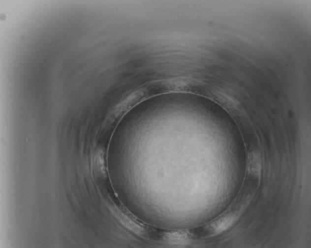 X0000062890238200601171521