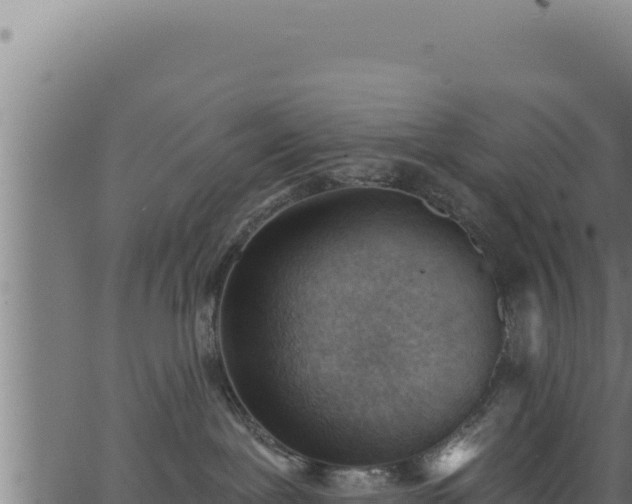 X0000062890239200601171521