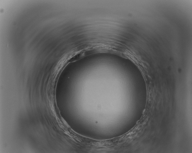 X0000062890241200601171521