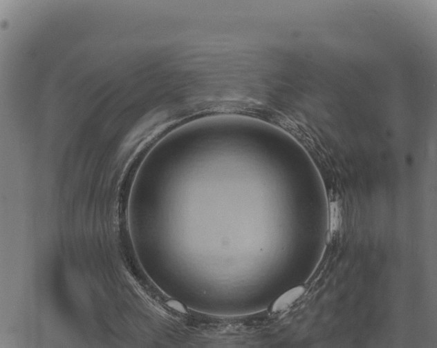 X0000062890243200601171521