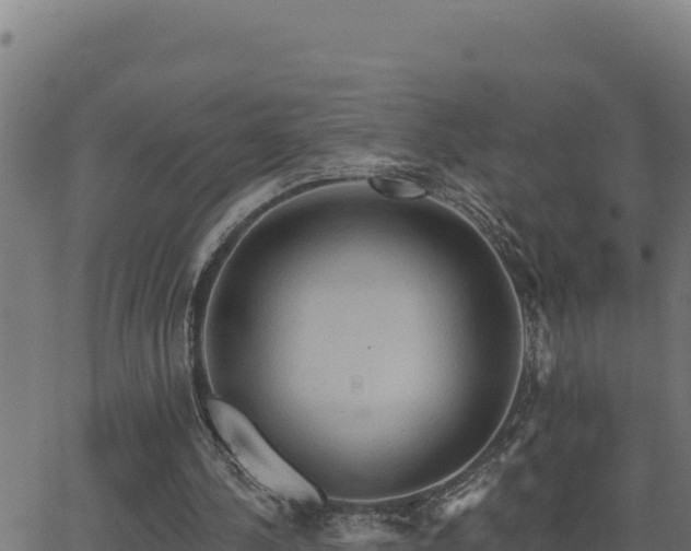 X0000062890244200601171521