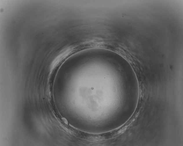 X0000062890245200601171521