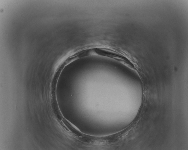 X0000062890248200601171521