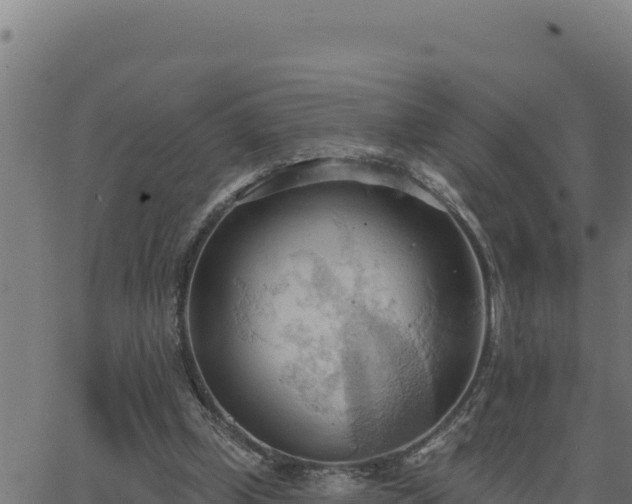 X0000062890249200601171521