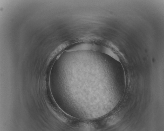 X0000062890250200601171521