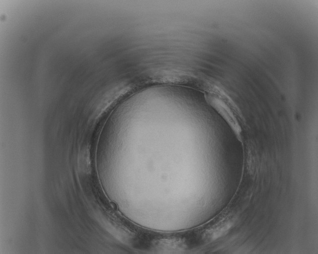 X0000062890251200601171521