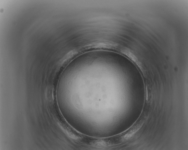 X0000062890253200601171521