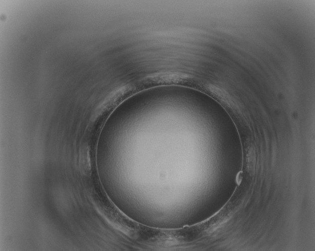 X0000062890254200601171521