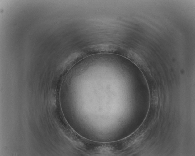 X0000062890255200601171521