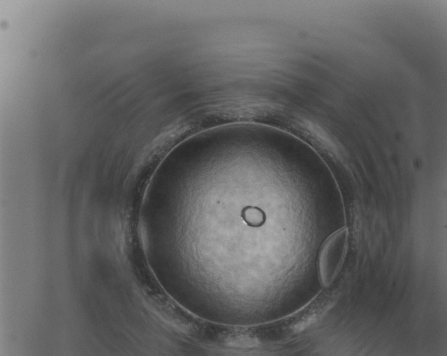 X0000062890258200601171521