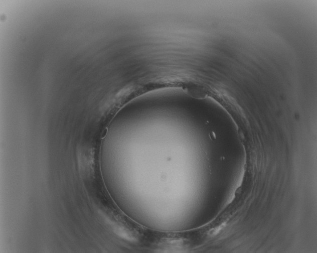 X0000062890260200601171521