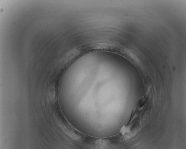 X0000062890261200601171521