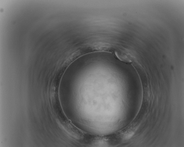 X0000062890263200601171521