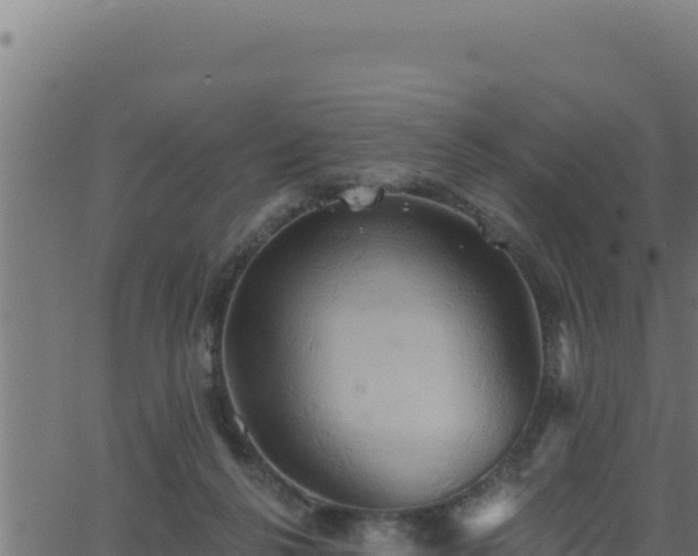 X0000062890264200601171521