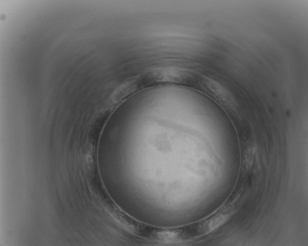 X0000062890265200601171521