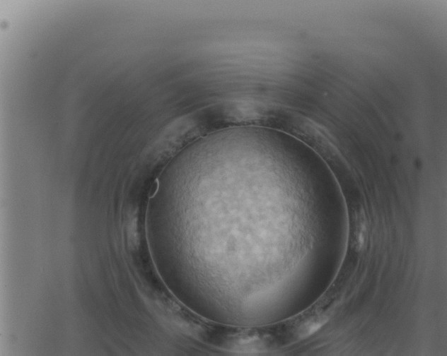 X0000062890267200601171521