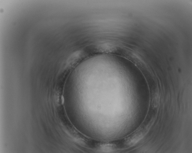 X0000062890268200601171521