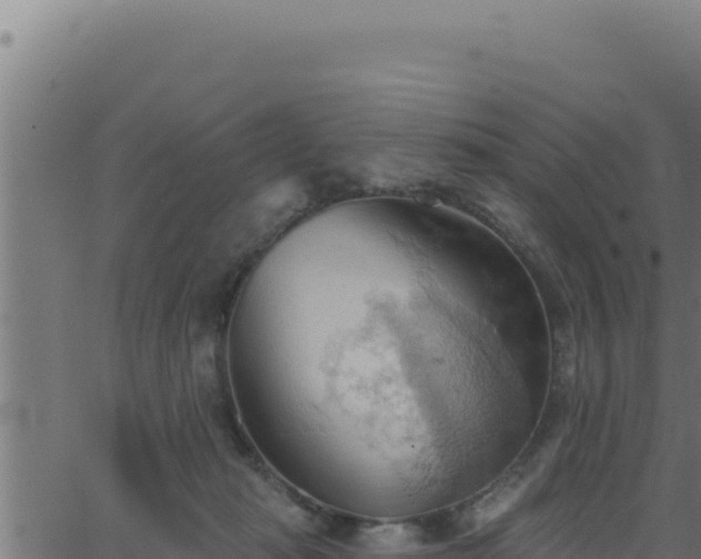 X0000062890269200601171521