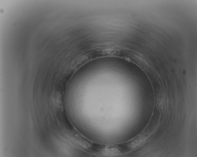 X0000062890270200601171521