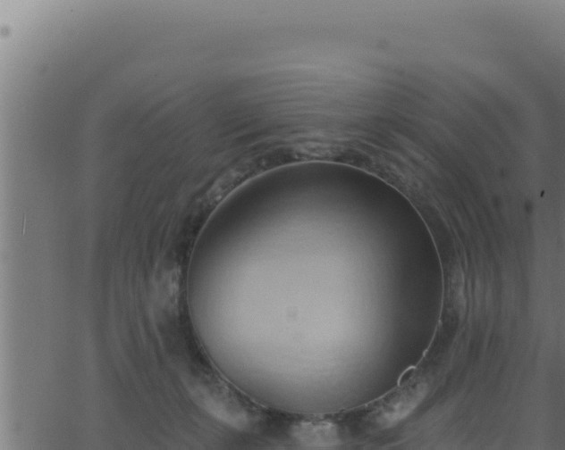 X0000062890271200601171521