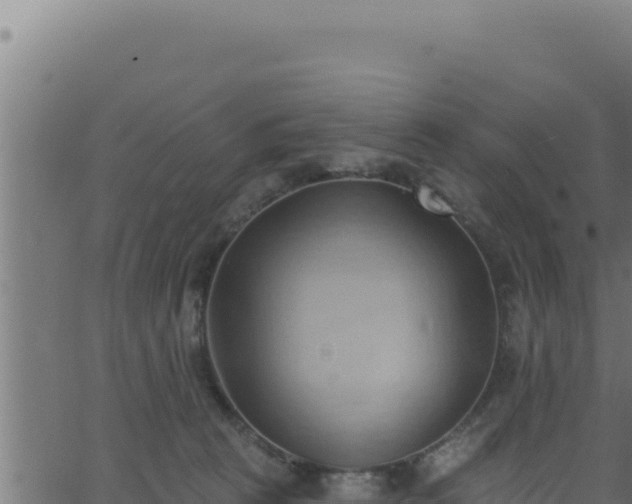 X0000062890273200601171521